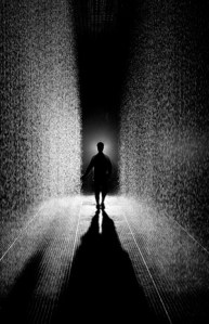 Rain Room (MOMA, installation)