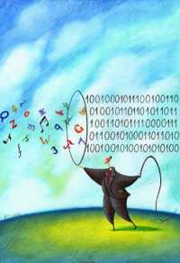 Bruno Budrovic (illustration)