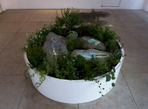 Mirjana_Vodopija_Žardinjera_2015